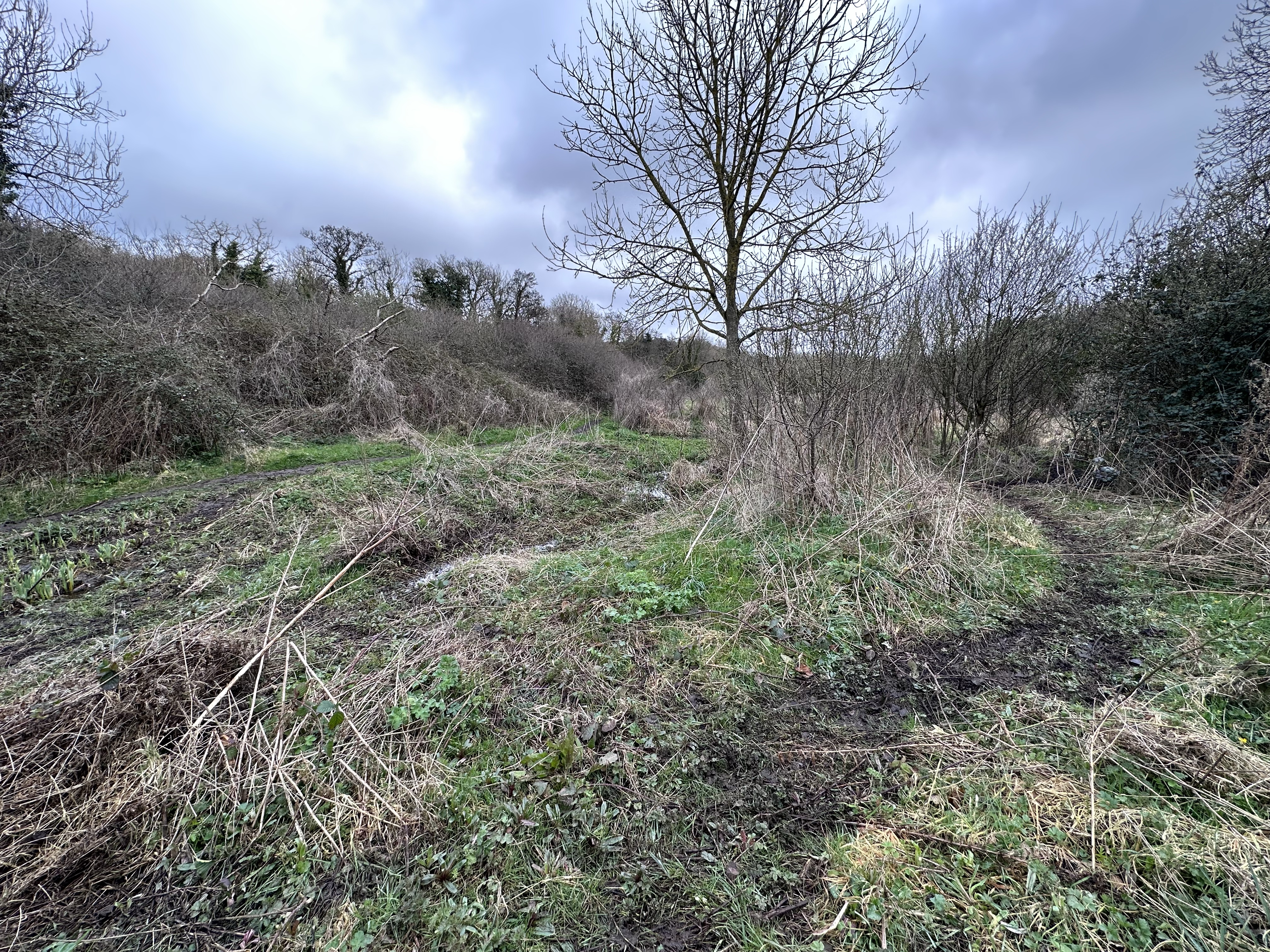 Image from River Walk Equinox 23