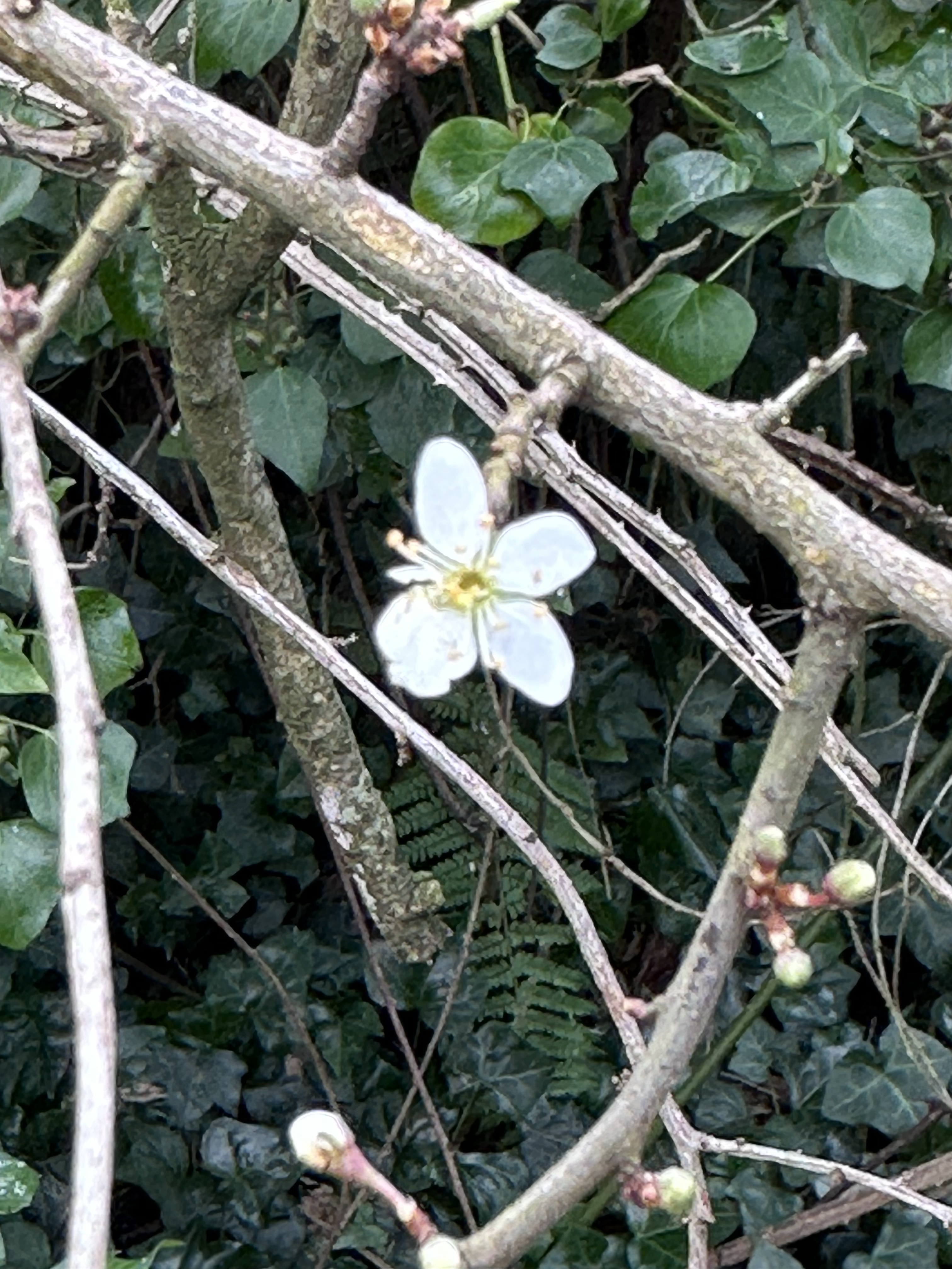 Image from RV Mondays: Stairway to heaven.