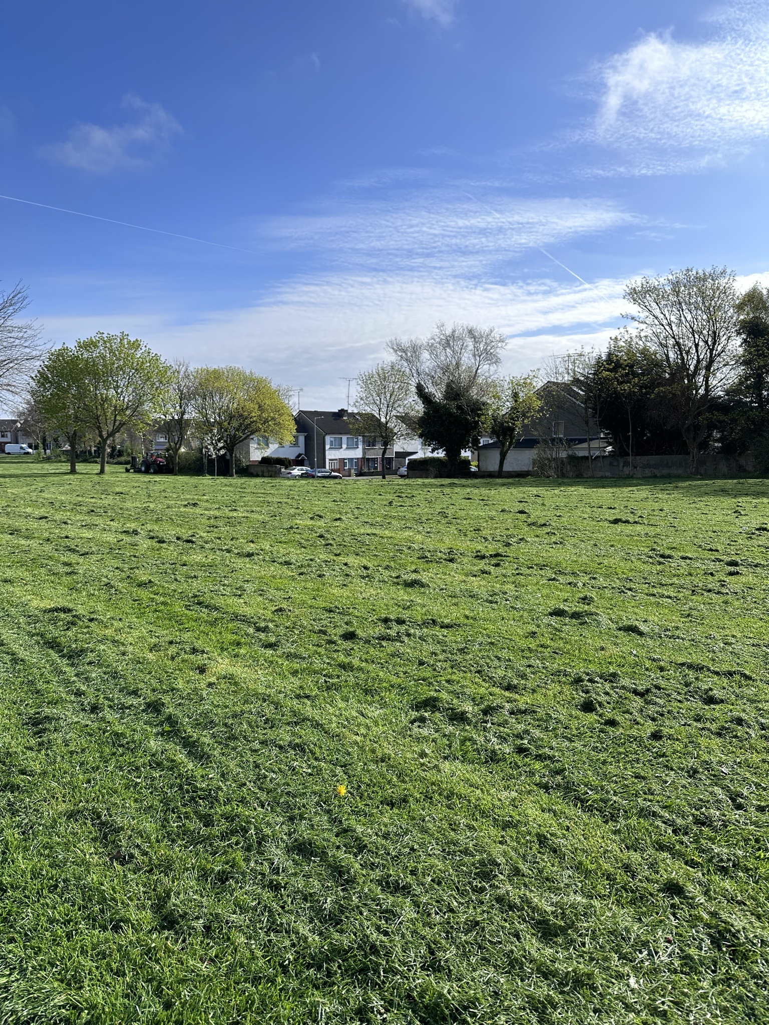 Featured image for RV Mondays: Fresh cut grass