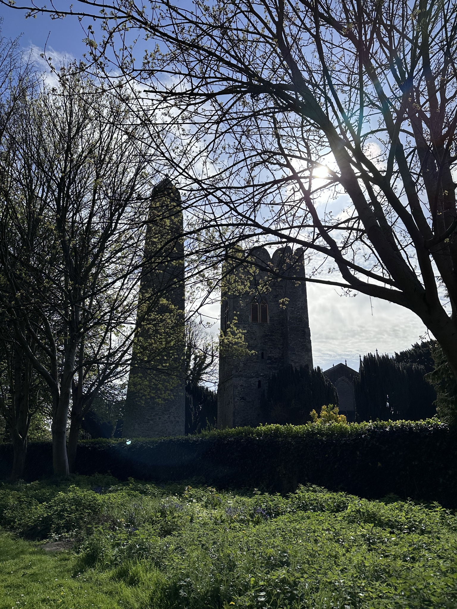 Image from RV Mondays: Fresh cut grass