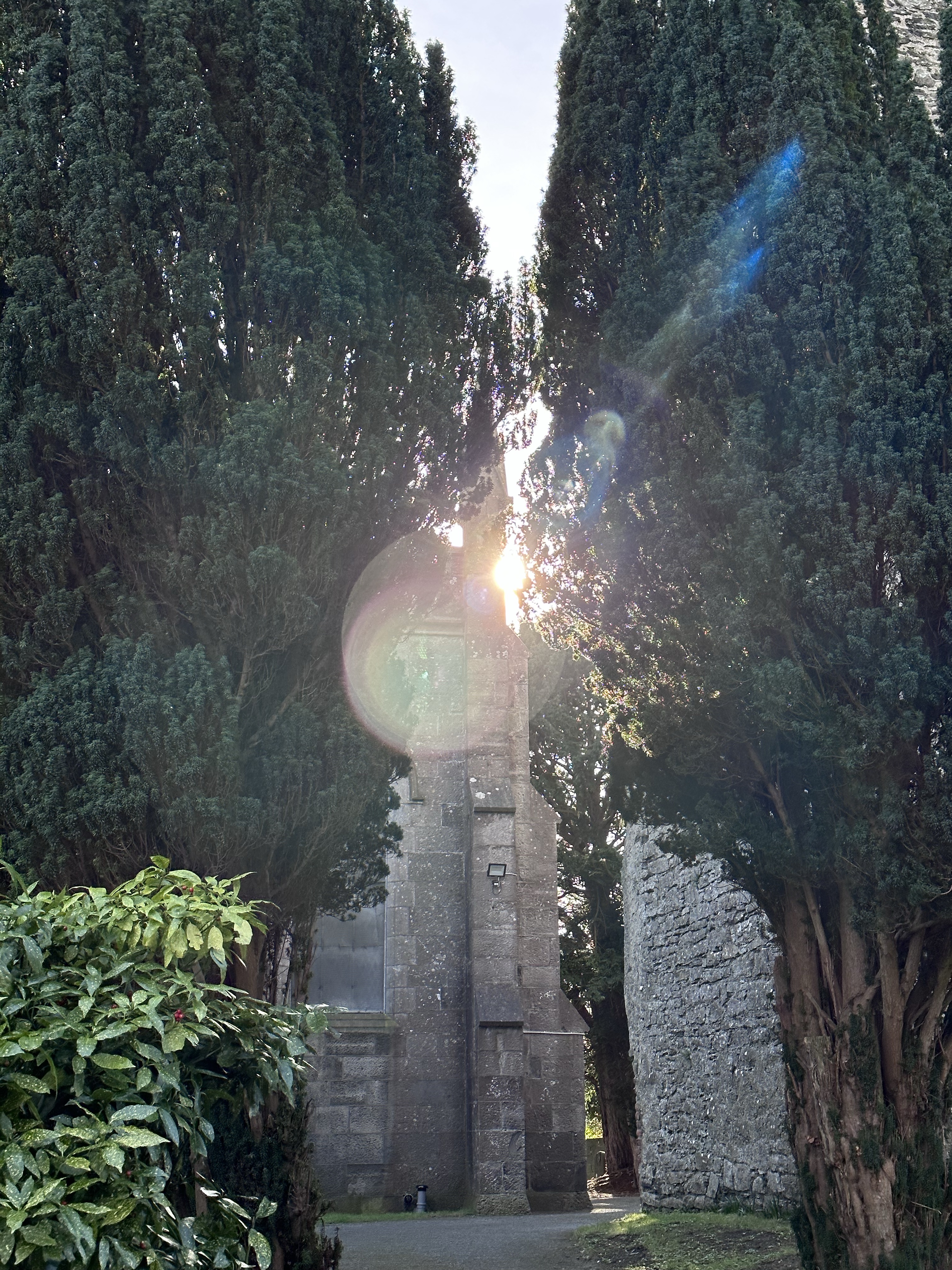 Featured image for Anonymous