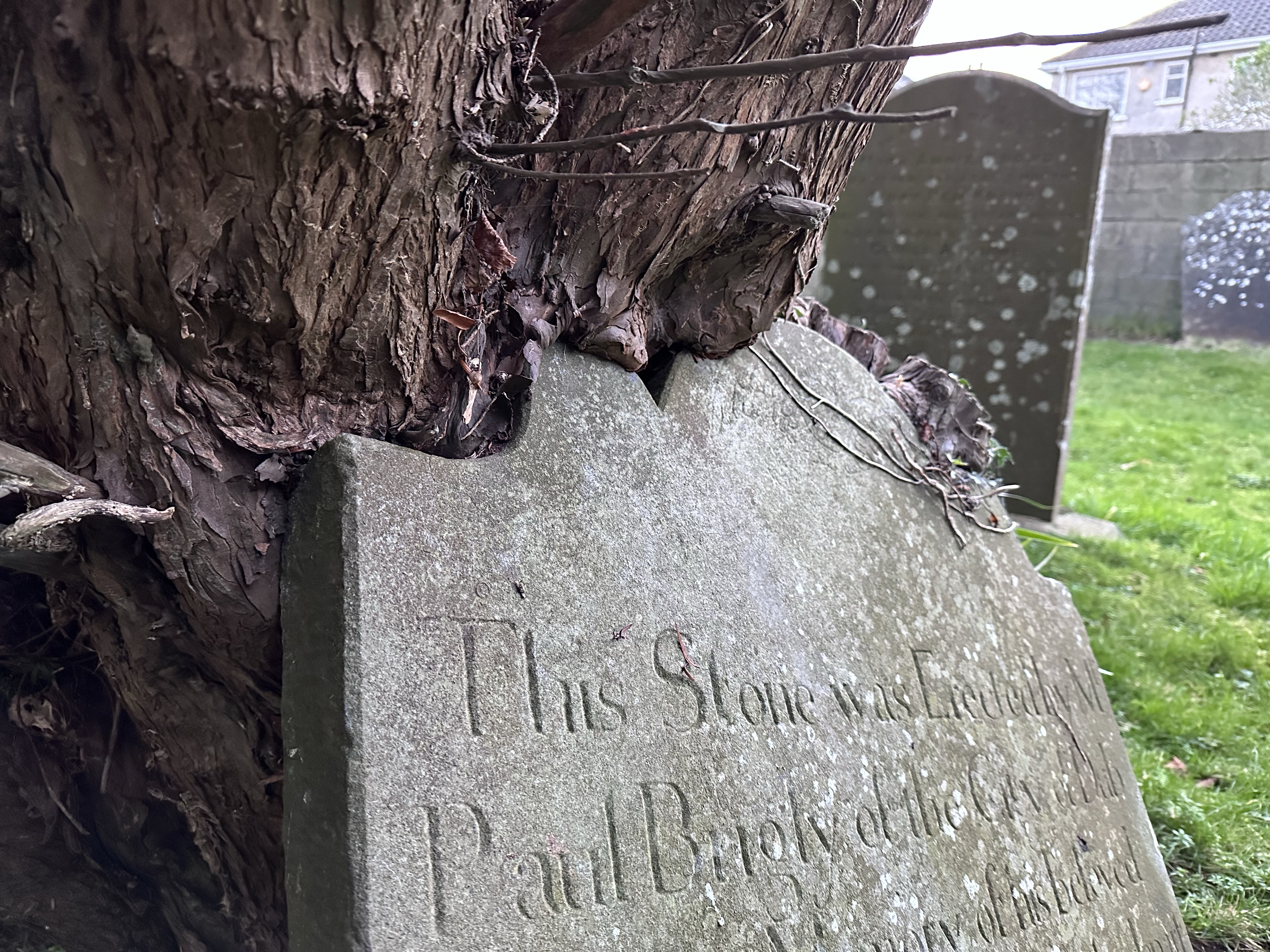 Image from AI Art – What’s the difference?