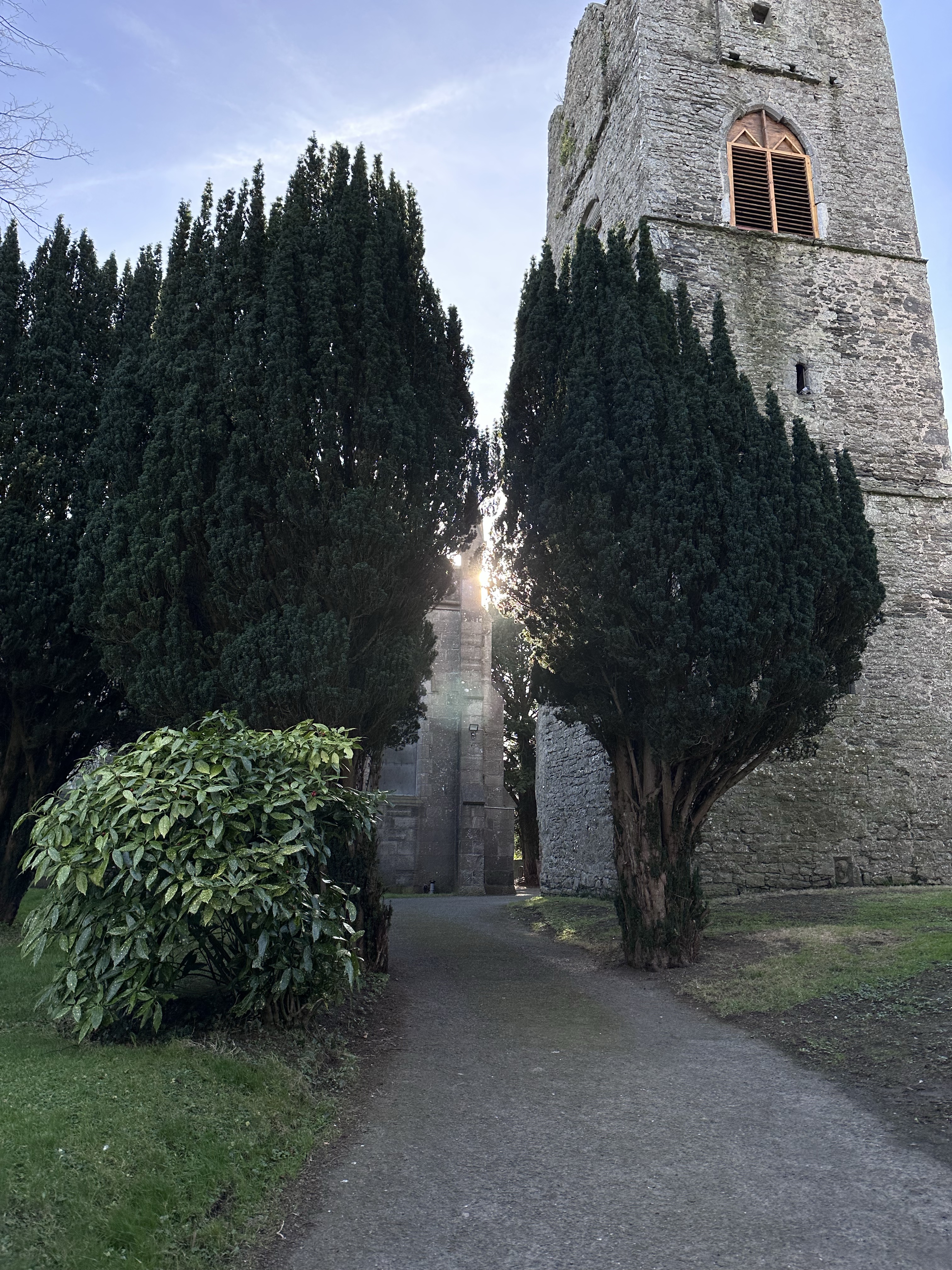 Image from Anonymous