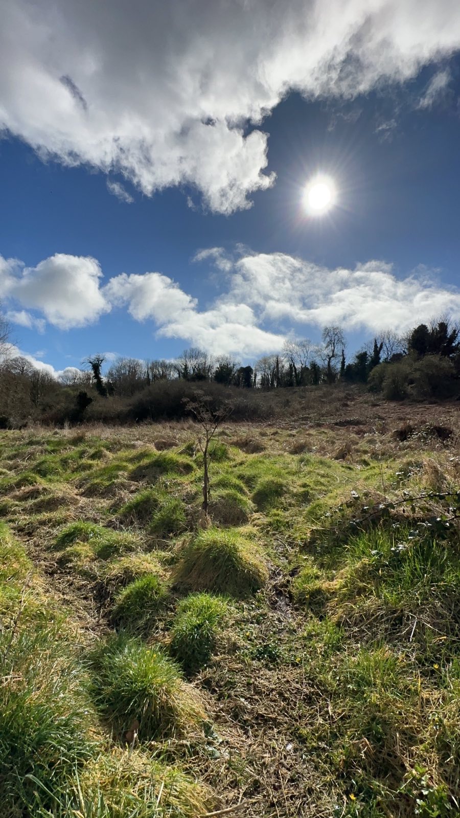 Featured image for River Walk Equinox 23