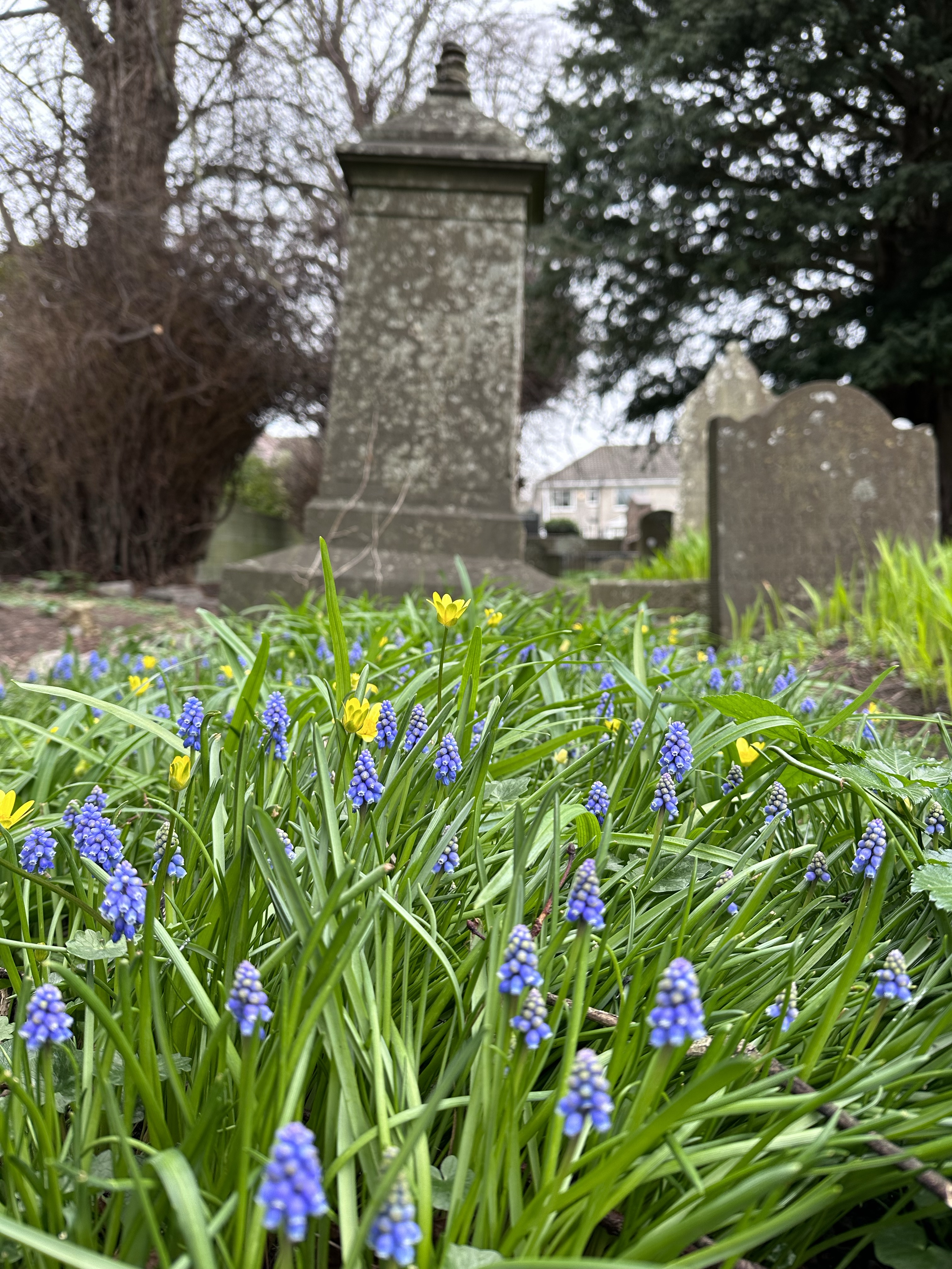 Image from RV Mondays: Stairway to heaven.