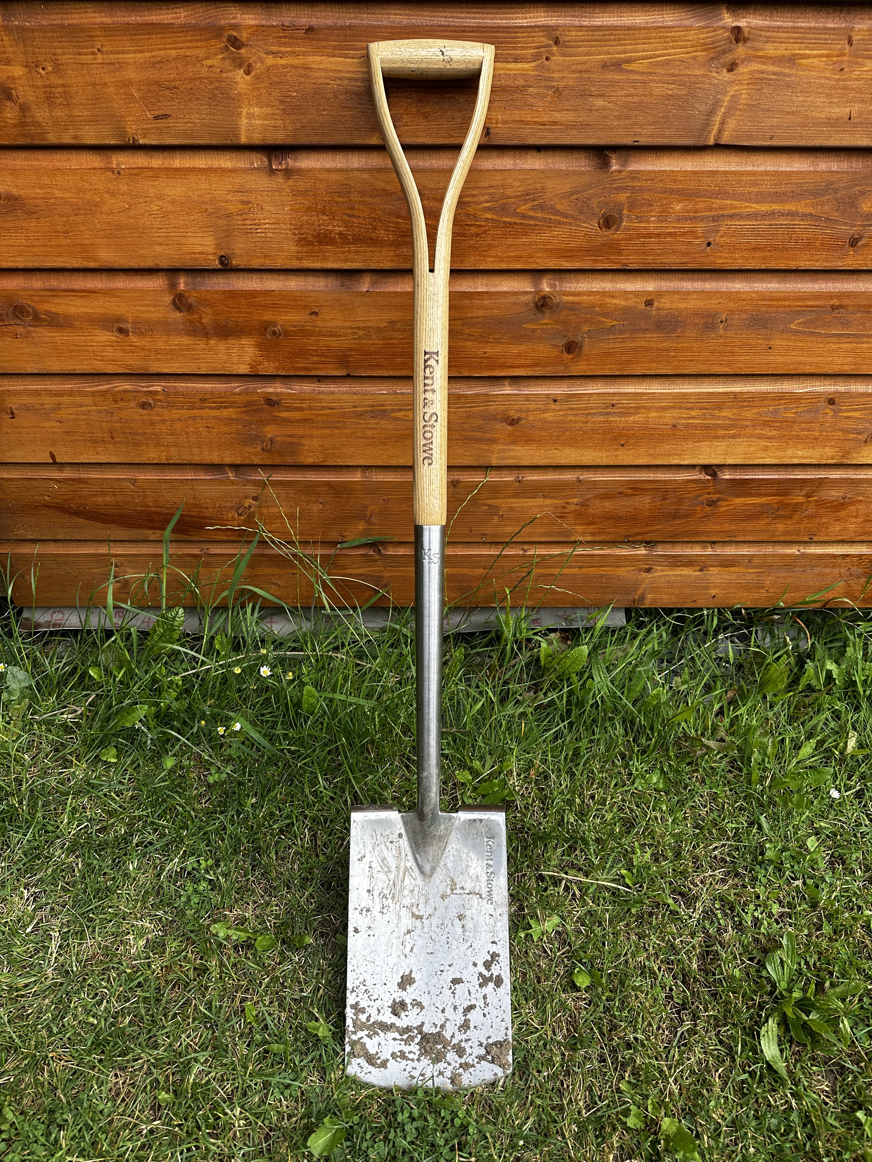 Image from AI – The Anything tool.