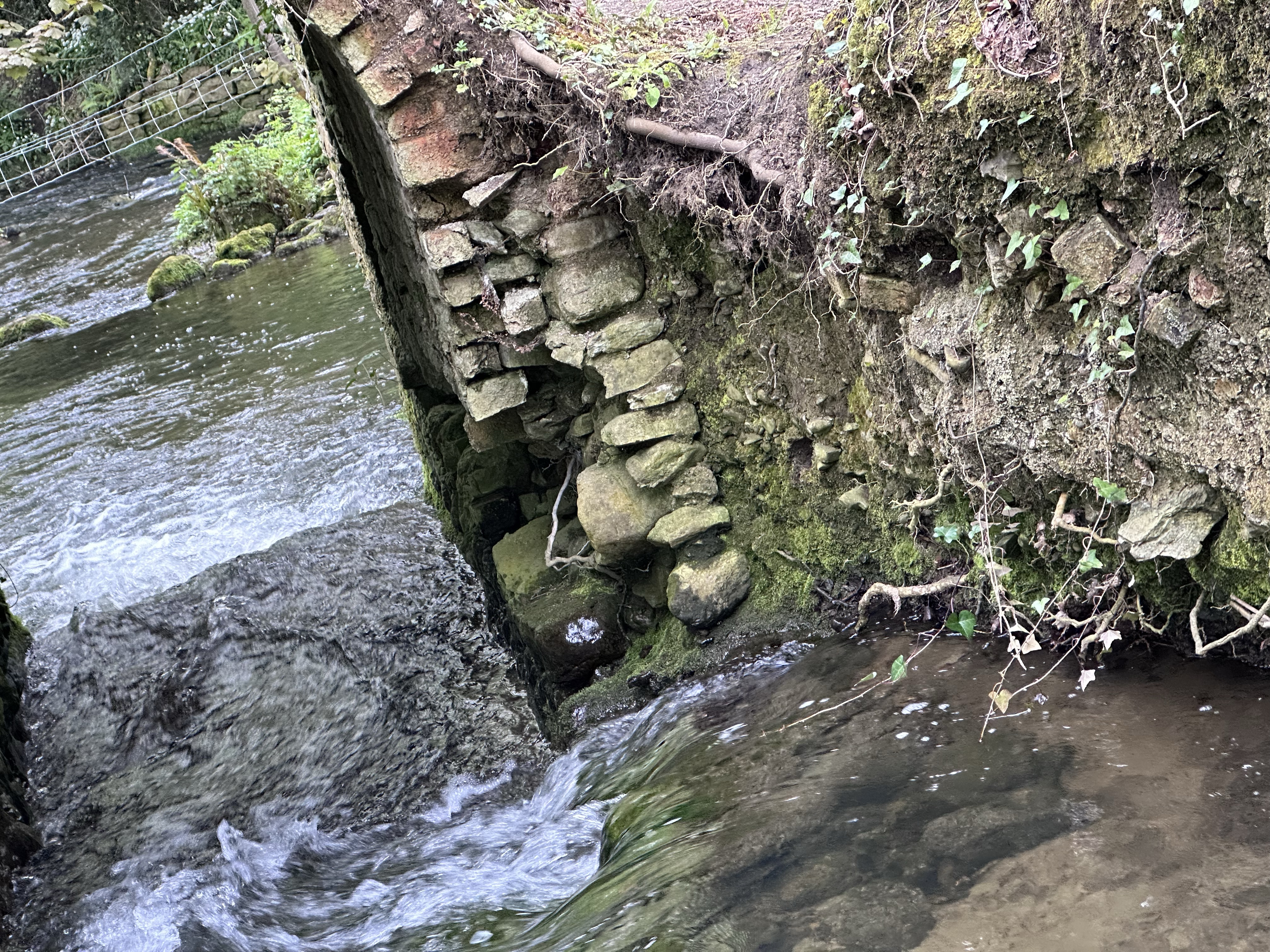 Image from Saving The Arch at brackenstown.