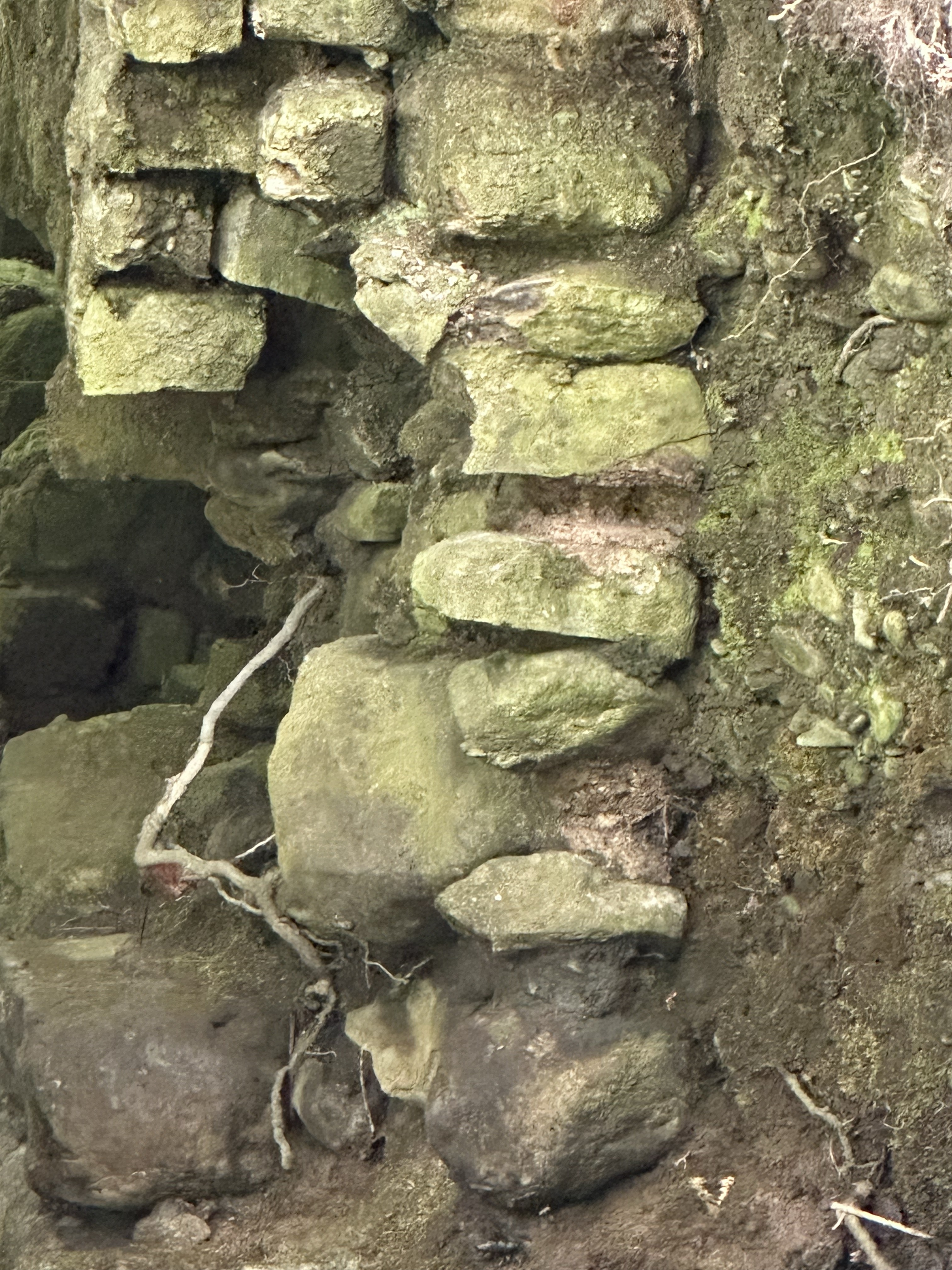 Image from Saving The Arch at brackenstown.