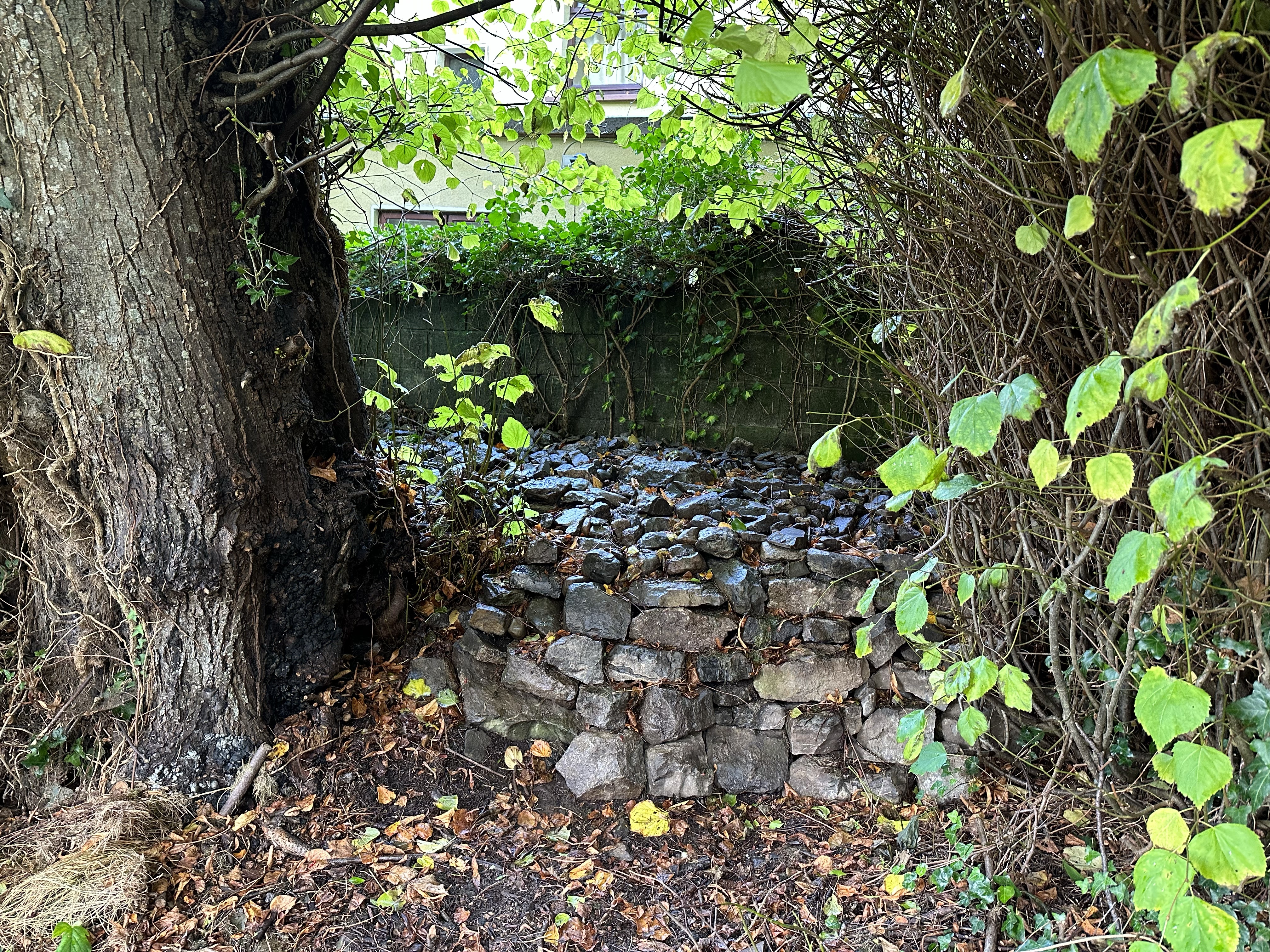 Image from Finding fulfilment, where to begin?