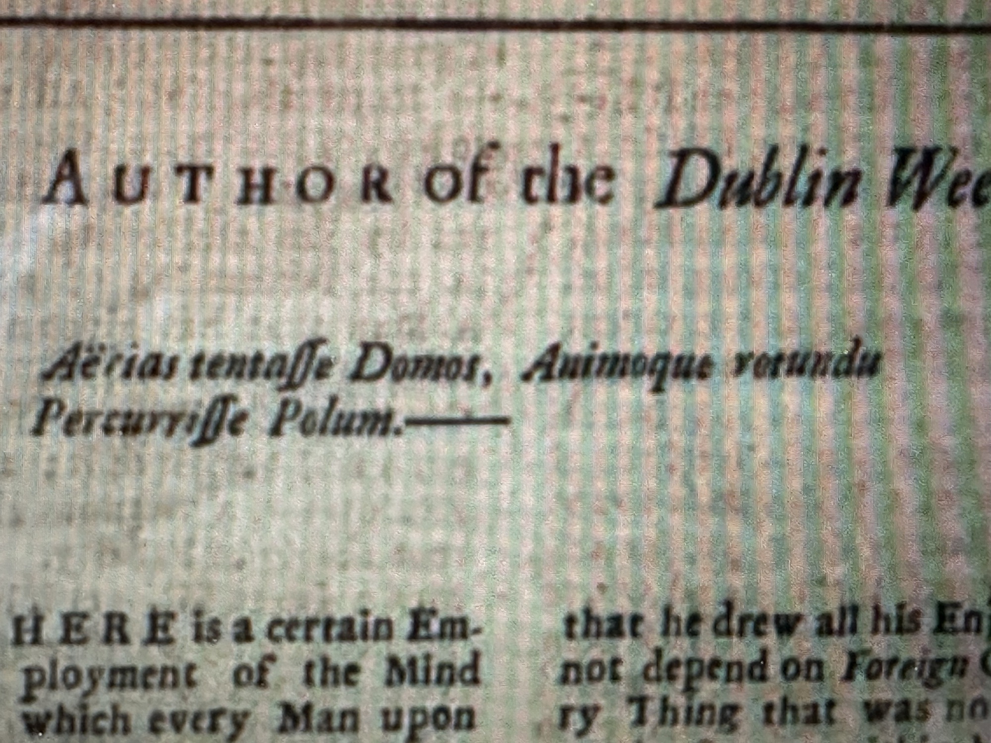 Image from Where’s Moly?