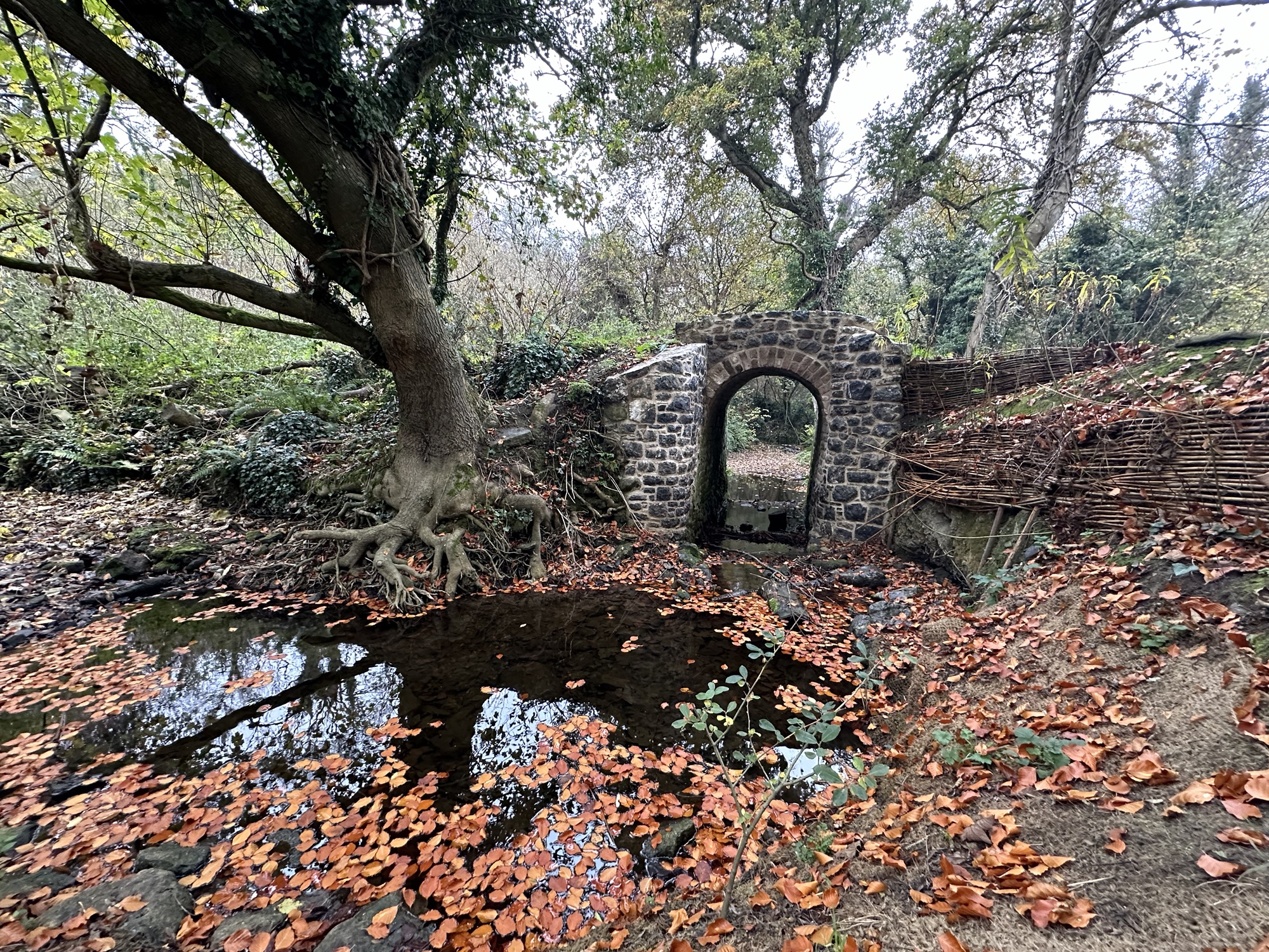 Image from Peace by Piece: Individual Calm to Global Harmony